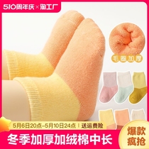 【Lsx】婴幼儿儿童袜子冬季加厚加绒棉中长筒保暖新生宝宝棉袜1-3