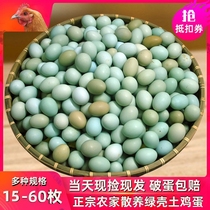 绿壳山鸡蛋60枚新鲜乌鸡蛋40枚正宗农家散养土鸡蛋15枚柴鸡蛋珍珠