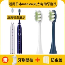适用日本丸太marudai成人电动牙刷头MS-C1191替换头成人MU-3000