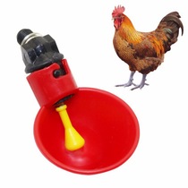 加厚鸽子饮水器自动饮水 饮水碗 水杯 鸟用水槽鸽子用品出口品质