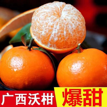 【纯甜】广西武鸣沃柑10斤新鲜水果当季沃柑爆甜砂糖橘子产地直发