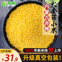 新货黄小米粥吃的小黄米月子米内蒙古赤峰特产黄金苗杂粮真空5斤