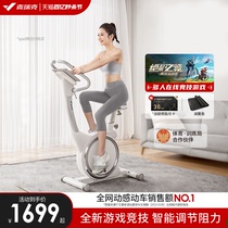 麦瑞克动感单车家用健身房自行车磁控减肥器材室内运动健身超静音