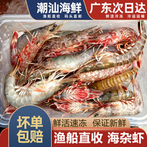 海杂虾小斑节虾海虾剑虾红虾白虾潮汕海鲜水产非对虾鸡冠虾樱花虾