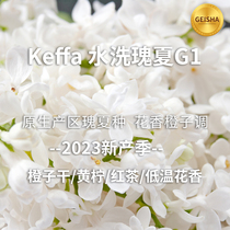 【新到】Keffa卡法瑰夏G1 印格23产季埃塞水洗进口咖啡生豆1KG