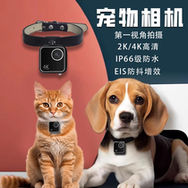 动物猫咪狗狗宠物第一视角4k防抖挂脖相机监控摄像头机录播记录仪