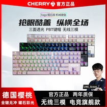 CHERRY樱桃MX8.2 XAGA曜石彩光合金办公游戏机械键盘茶轴蓝牙三模