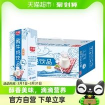 光明牌酸奶饮品饮料食品(原味)190ml*24盒*2箱酸牛奶