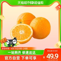 新奇士Sunkist脐橙钻石果4粒尝鲜装单果190g以上新鲜橙子水果