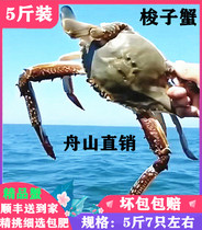 梭子蟹鲜活大白蟹小门子海蟹公蟹新鲜海鲜东海水产螃蟹包邮