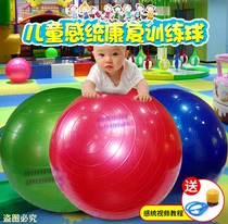 幼儿园儿童瑜伽球婴儿大码皮球弹力拍拍球宝宝感统大球充气球玩具