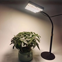 植物生长灯全光谱LED补光灯25瓦室内桌面夹子阳台太阳落地无频闪