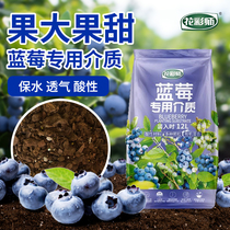 虹越花彩师蓝莓树果苗盆栽专用通用营养土杜鹃花酸性土壤有机肥料