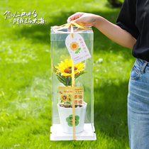 教师节蛋糕包装盒盆栽杯子向日葵蛋糕装饰插件透明手提花束礼物盒