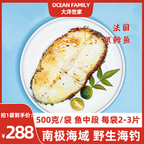 大洋世家 银鳕鱼辅食深海鱼块冷冻海鲜新鲜冷冻水产500g*1袋