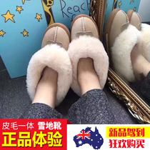 KOALАUGG雪地靴女 澳洲正品羊皮毛一体女靴保暖豆豆鞋冬网红女鞋