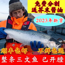 12-18斤/条智利进口冷冻新鲜三文鱼整条三文鱼刺身寿司生鱼片新货