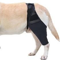 狗腿受伤支撑前后腿保护套透气可调节额外支撑狗大腿保护套护膝宠