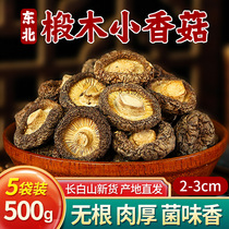 东北小香菇干货特小花菇珍珠香菇新鲜金钱菇干香菇批发商用500g