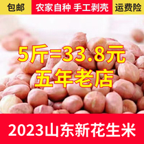 2023年5斤生花生米 山东新鲜精选粉红大粒白沙生花生米散装