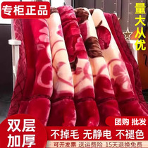 正品毛毯拉舍尔毯子12斤加厚双层冬季盖毯双人结婚红珊瑚绒午休毯