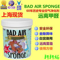 现货美国Bad Air Sponge空气净化剂除甲醛异味雾霾清除剂装修污染