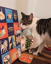 港购 限量款英国LILY'S KITCHEN聖誕倒數曆(含貓小食)42g