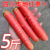 四川红萝卜新鲜包邮 沙地水果胡萝卜农家蔬菜红心脆甜沙窝 甜萝卜