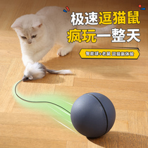 玩猫具自嗨解闷消耗体力老鼠逗猫棒猫运动电动自动逗猫球猫咪用品