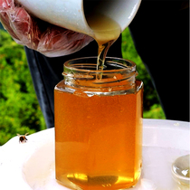 田园小漠家纯正天然土蜂蜜农家自产中蜂百花蜜蜂场直销无添加原蜜