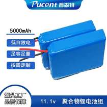 大容量软包锂电池12v 5000ma充电锂电池 聚合物锂电池组12伏