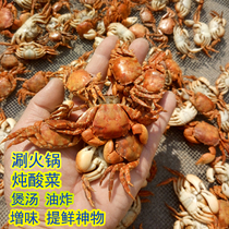500g小螃蟹干货水产乌拉火锅底料干螃蟹炖酸菜配料干虾蟹小海蟹干