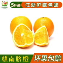 进口橙子埃及橙赣南脐橙特产现摘新鲜水果薄皮多汁5斤装包邮
