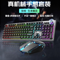 狼蛛T200有线游戏键盘鼠标 金属机械手感发光电竞多媒体键鼠套装