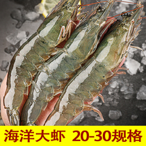 青岛 拍  20-30 3斤大虾 鲜活海鲜水产基围虾海虾鲜虾青虾