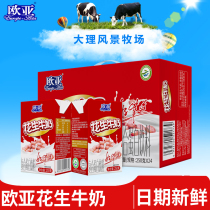 【日期新鲜】欧亚花生牛奶饮品250g*24盒/箱早餐整箱大理乳制品