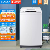 Haier/海尔 EB65M019小神童全自动出租屋宿舍家用波轮洗衣机