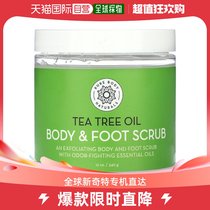 香港直邮Pure Body Naturals,茶树油，身体和脚部磨砂膏，12 盎司