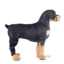 狗狗骨折夹板腿部固定矫正宠物后腿大腿骨折关节错位绑带支架护套