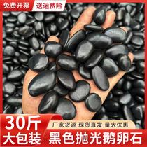30斤黑色精抛鹅卵石日式庭院花园造景装饰专用地面铺设雨花石
