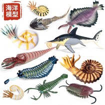 仿真海洋动物模型儿童玩具远古奇虾鹦鹉螺三叶虫直角石摆件套装