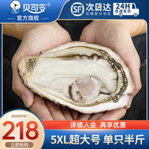 贝司令乳山生蚝鲜活10斤特大5XL海鲜水产新鲜海蛎子牡蛎整箱包邮