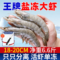 大虾鲜活速冻超大基围虾冷冻王牌盐冻虾海虾厄瓜多尔白虾海鲜水产