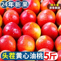 黄心油桃5斤大桃子水果新鲜当季整箱包邮应季水密桃孕妇蜜脆桃10