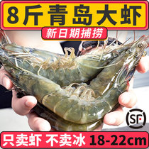 新鲜大虾鲜活超大基围虾冷冻青岛特大青虾速冻对虾海虾类海鲜水产