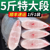 东海带鱼新鲜冷冻500g*5袋雷达网带鱼段刀鱼中段海鱼海鲜水产鲜活