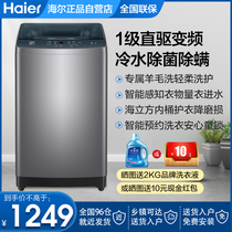 海尔全自动波轮洗衣机小型家用直驱洗脱一体脱水机10kg一级BZ506