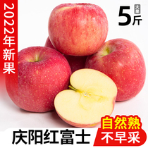 甘肃庆阳红富士苹果9斤水果新鲜整箱当季时令静宁冰糖心丑萍平果