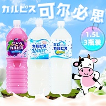 现货日本原装进口可尔必思大瓶1.5L*3瓶乳酸菌风味饮料原味碳酸