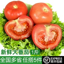 新鲜大番茄500g 生吃沙瓤西红柿农家蔬菜自然熟孕妇水果现摘柿子